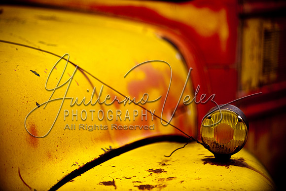 ©2010GuillermoVelez