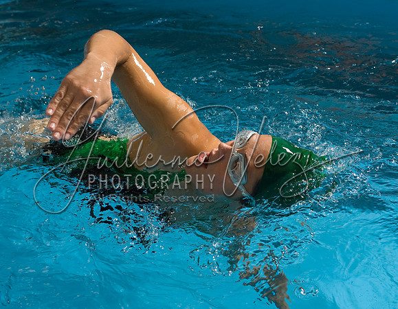©2008GuillermoVelez