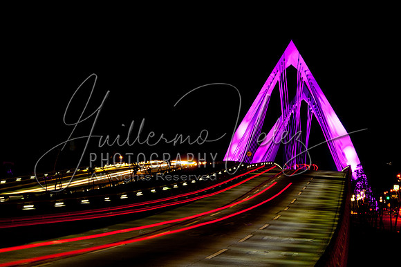 ©2011GuillermoVelez