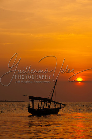 ©2010GuillermoVelez