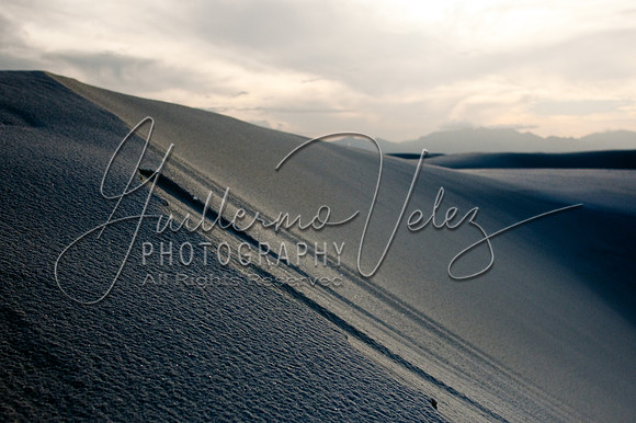 ©2010GuillermoVelez