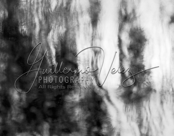 ©2009GuillermoVelez