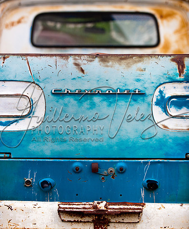 ©2010GuillermoVelez