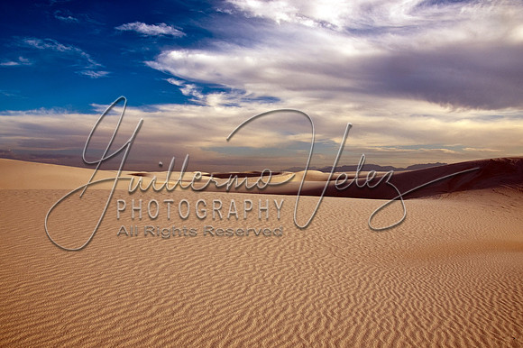 ©2010GuillermoVelez