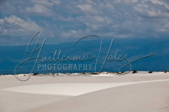 ©2010GuillermoVelez