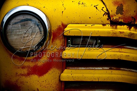 ©2010GuillermoVelez