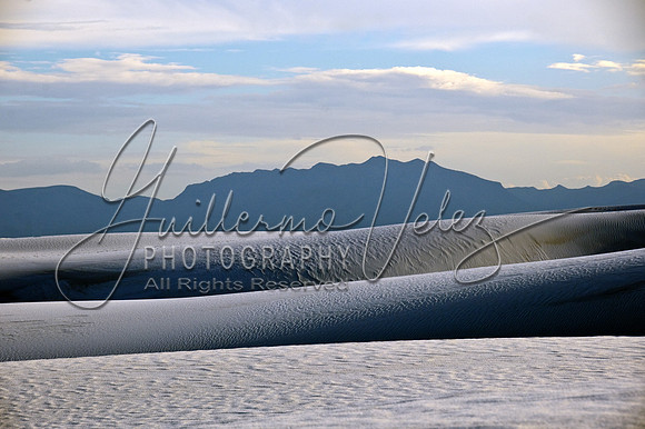 ©2010GuillermoVelez