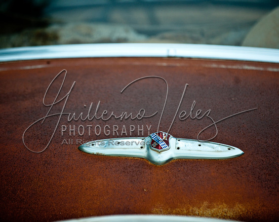 ©2010GuillermoVelez