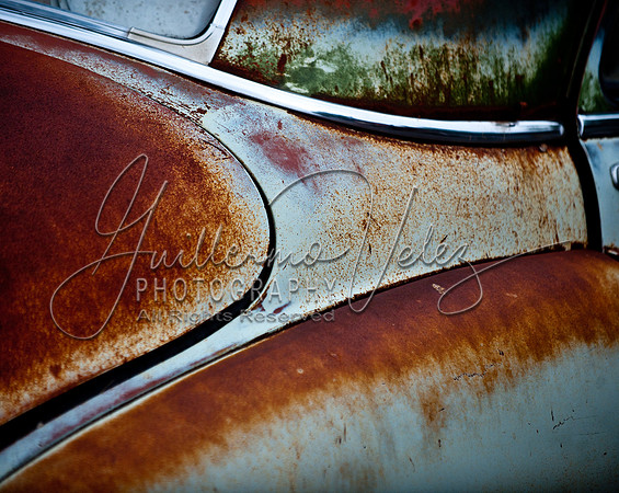 ©2010GuillermoVelez