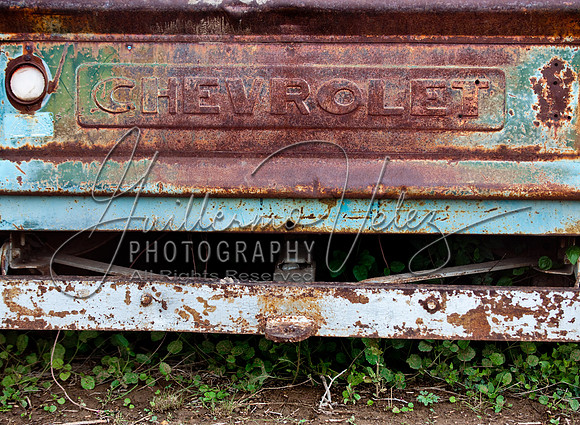 ©2010GuillermoVelez