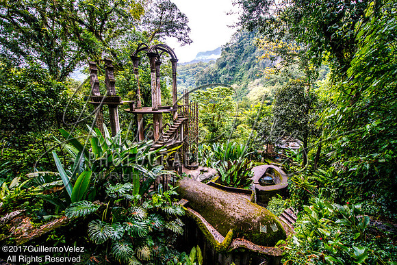 Jungla Encantada