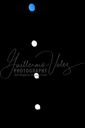 ©2005GuillermoVelez
