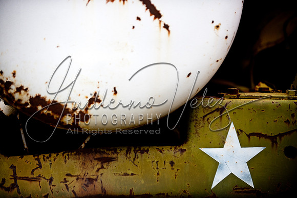 ©2010GuillermoVelez