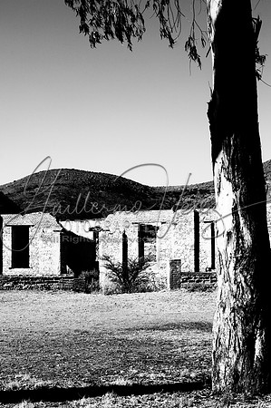 ©2010GuillermoVelez