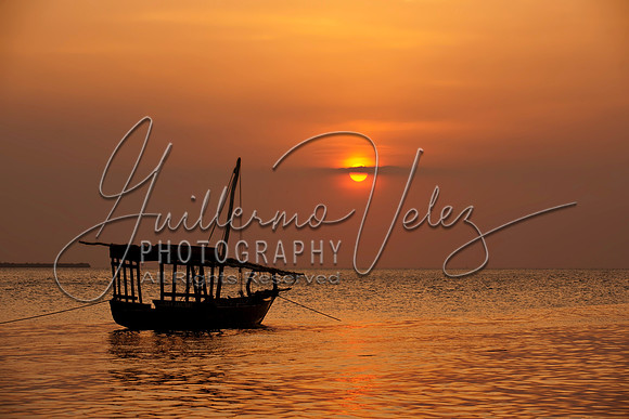 ©2010GuillermoVelez