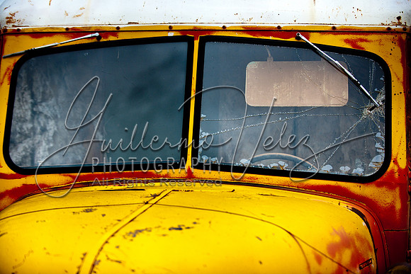 ©2010GuillermoVelez