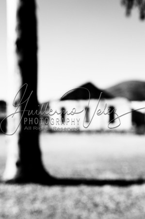 ©2005GuillermoVelez