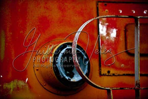 ©2010GuillermoVelez