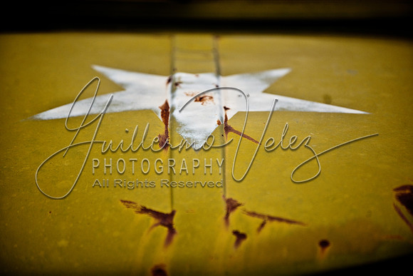 ©2010GuillermoVelez