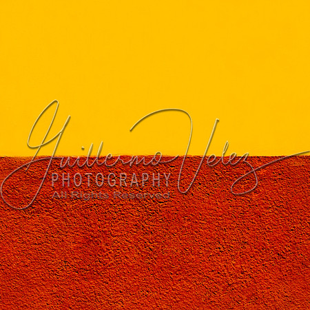 ©2007GuillermoVelez