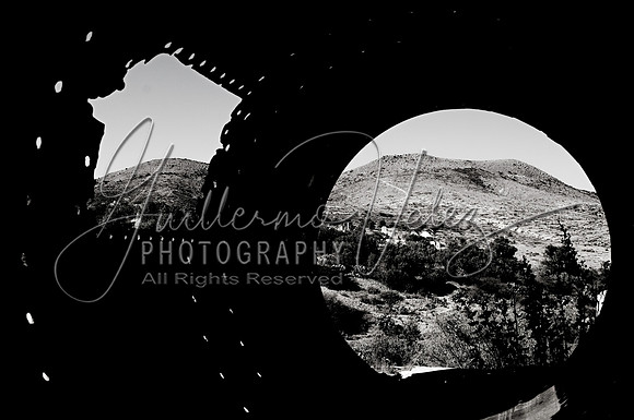 ©2010GuillermoVelez