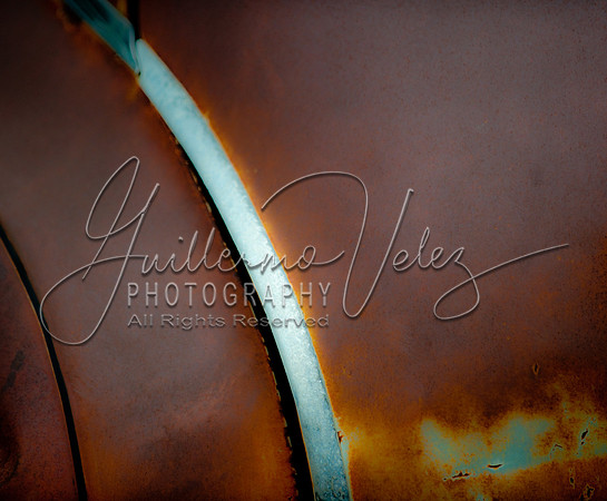 ©2010GuillermoVelez
