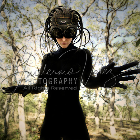 ©2009GuillermoVelez