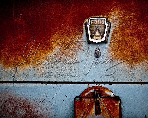 ©2010GuillermoVelez