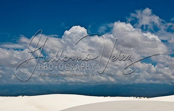 ©2010GuillermoVelez