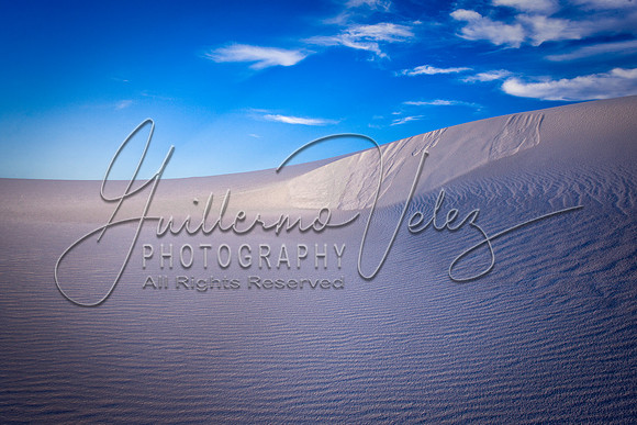 ©2010GuillermoVelez