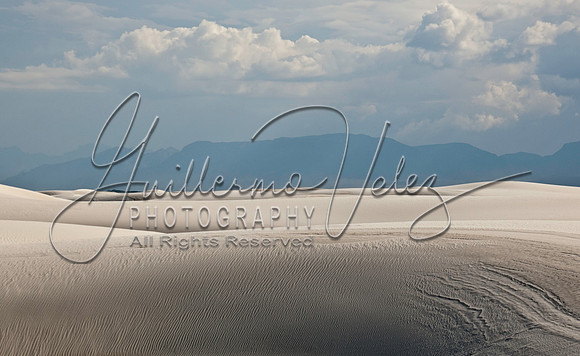 ©2010GuillermoVelez