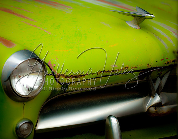 ©2010GuillermoVelez