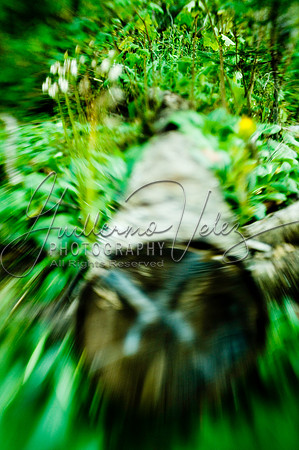 ©2007GuillermoVelez