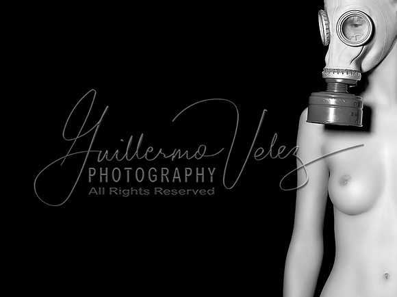 ©2007GuillermoVelez